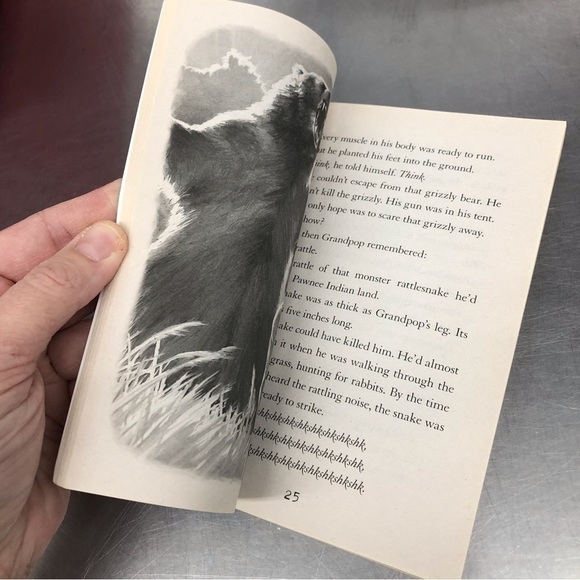 I Survived: The San Francisco Earthquake, 1906 by: Lauren Tarshis - Picture 4 of 5